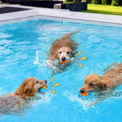 MEWTOGO tire floating dog toy offers buoyant play and fetch fun