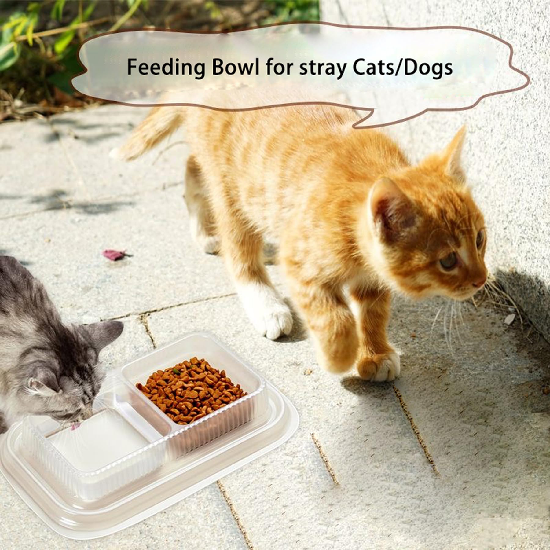 MEYAGO large cat wet dishes for convenient serving.