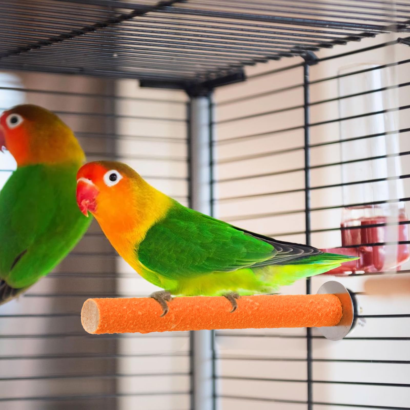 Mezchi bird perch stand board green sturdy perch board for relaxation