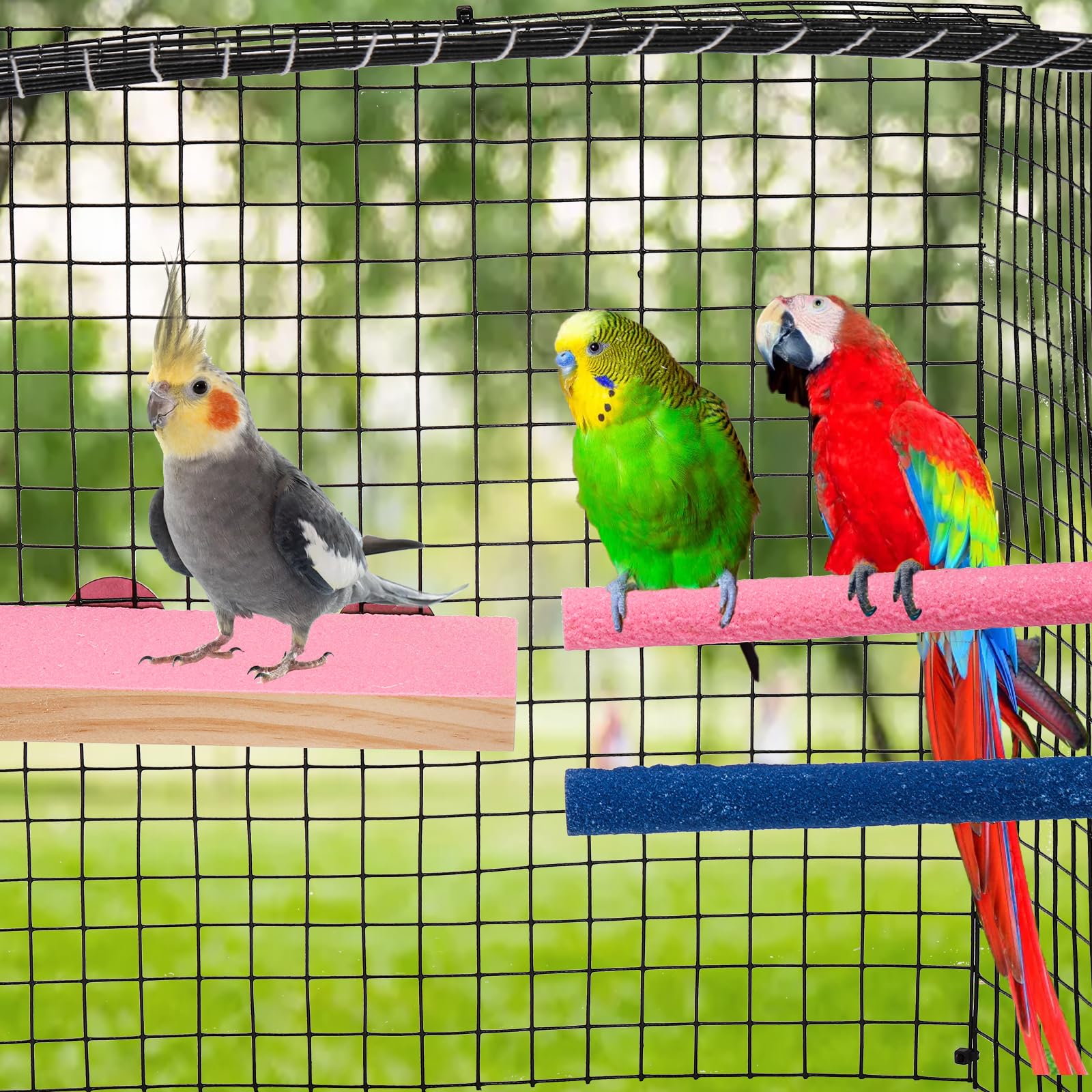 Mezchi bird perch stand board orange colorful platform for climbing and exploration