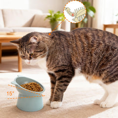 Mezchi raised cat bowls pink 6-pack with playful design