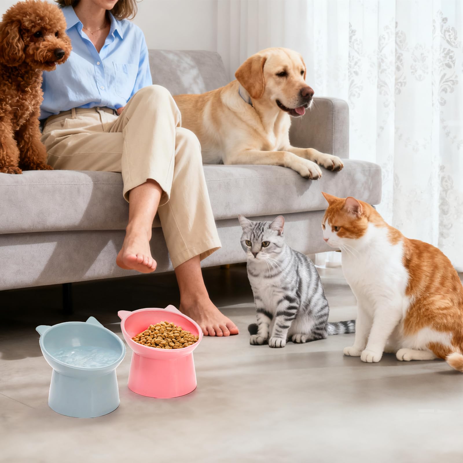 Mezchi whisker-friendly bowls fit cats comfortably while dining