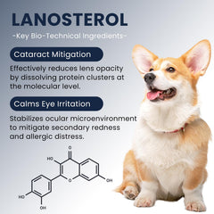 Mgviiiva cataract drops close-up on a dog's eyes