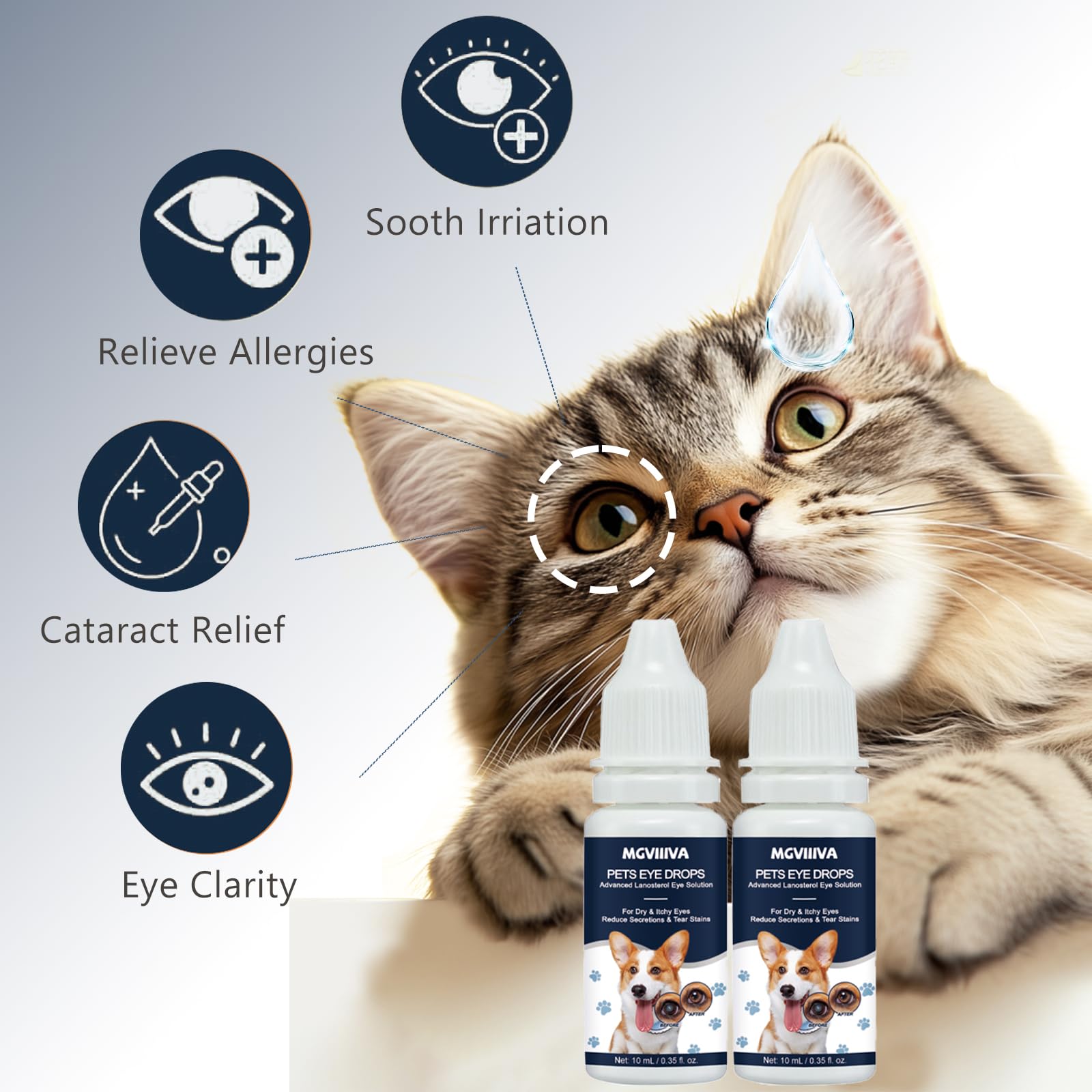 Two-pack box of Mgviiiva cataract drops