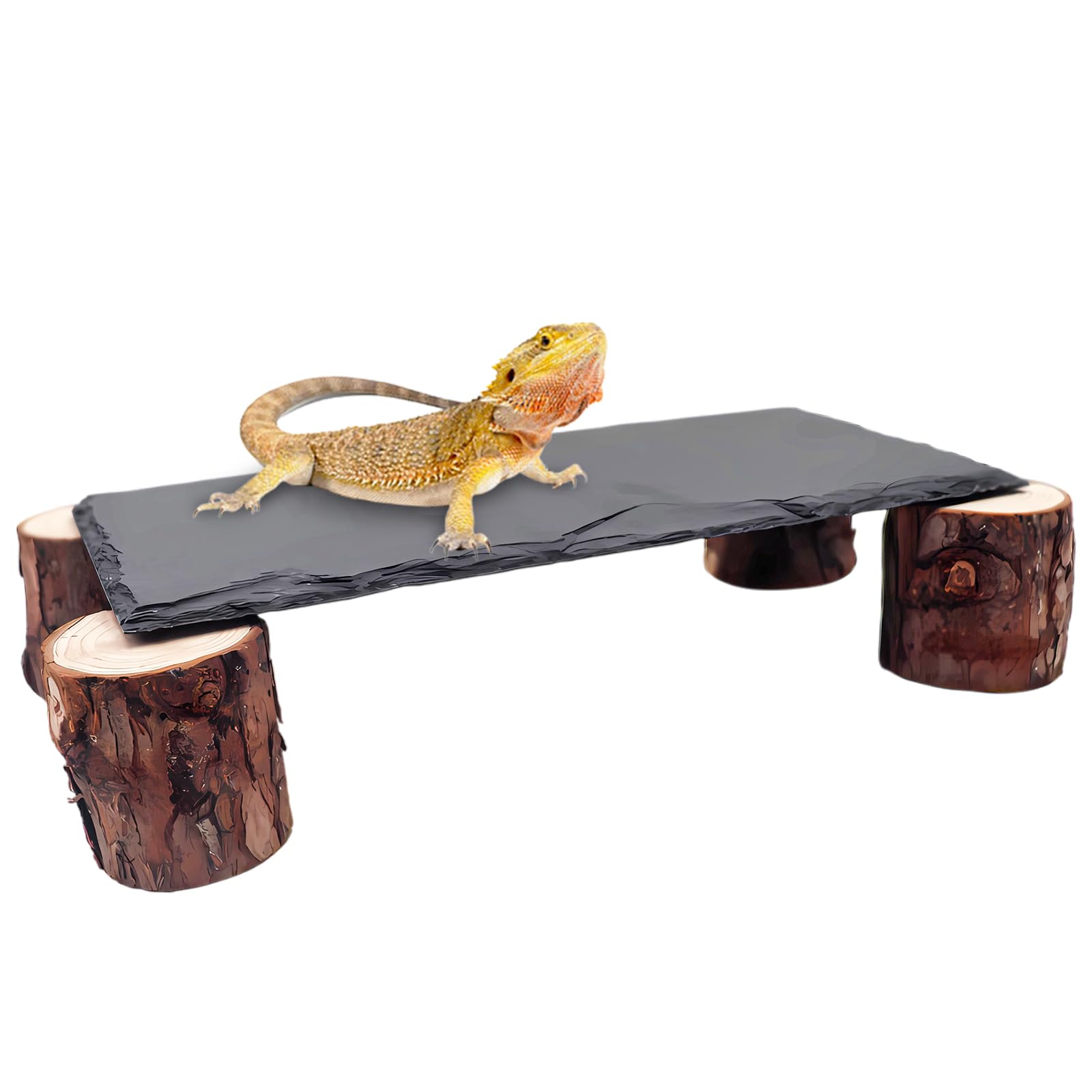 MHLLGN Bearded Dragon Basking Platform with slate surface for warm, natural basking.