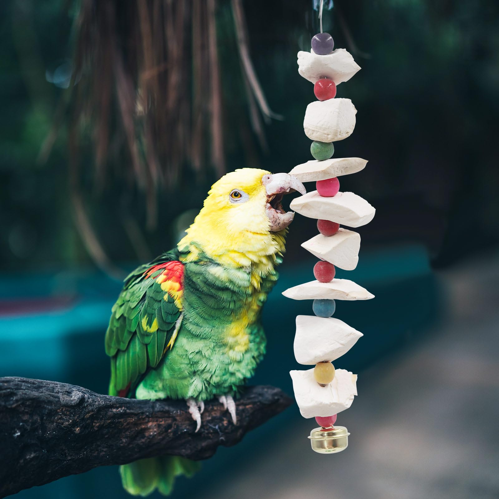 MHLLGN birds enjoying play with versatile cage-friendly toy