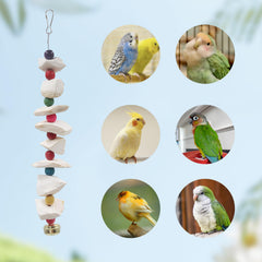 MHLLGN parakeet chewing action for mental stimulation