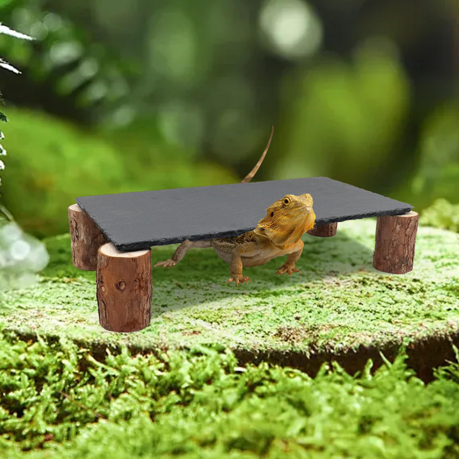 MHLLGN large black basking platform suits multiple reptiles.
