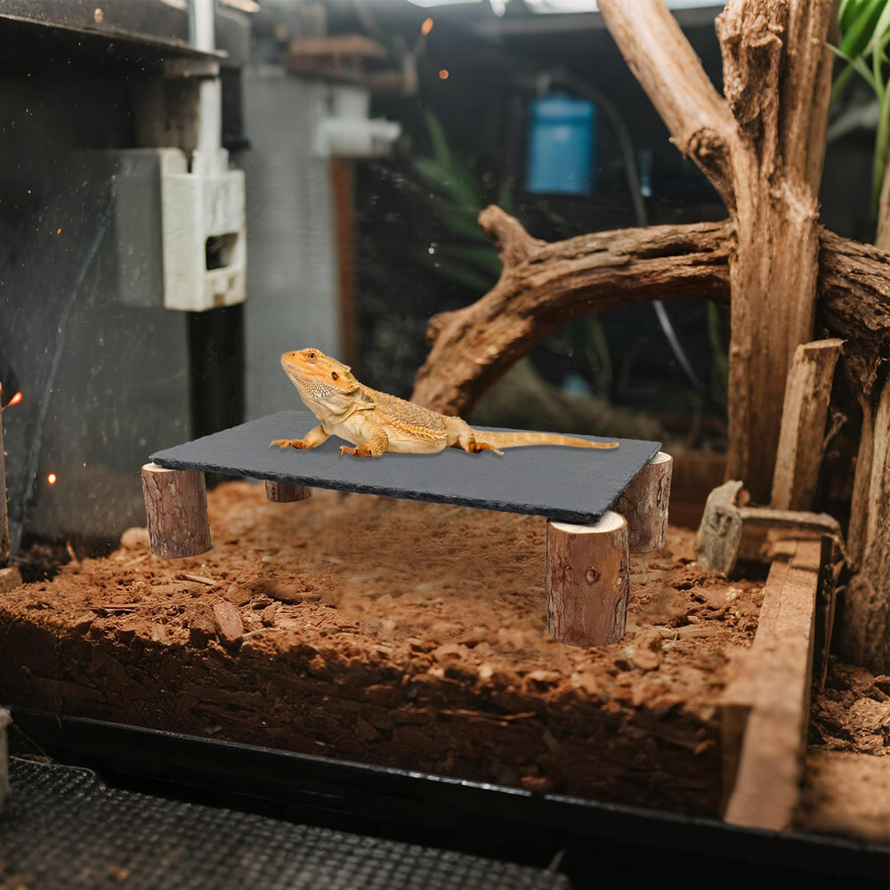 MHLLGN reptile tank decor enhances aesthetics while supporting natural behavior.