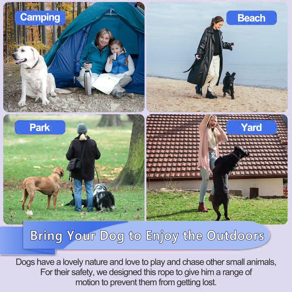 Mi Metty tie out cable blue dog exploration captures freedom and safety during outdoor adventures