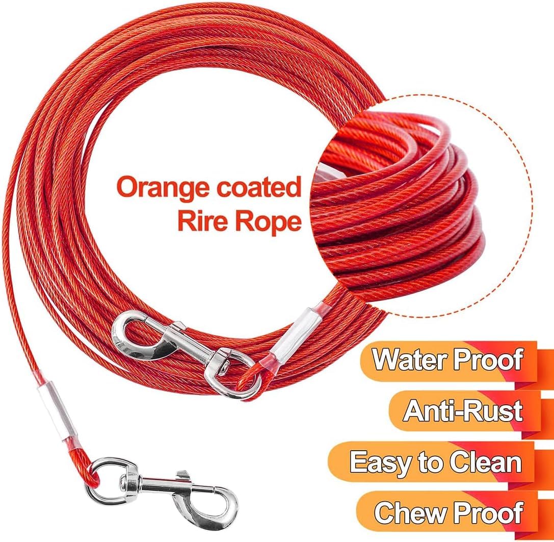 Mi Metty tie out cable wrapped around a post for hands-free supervision