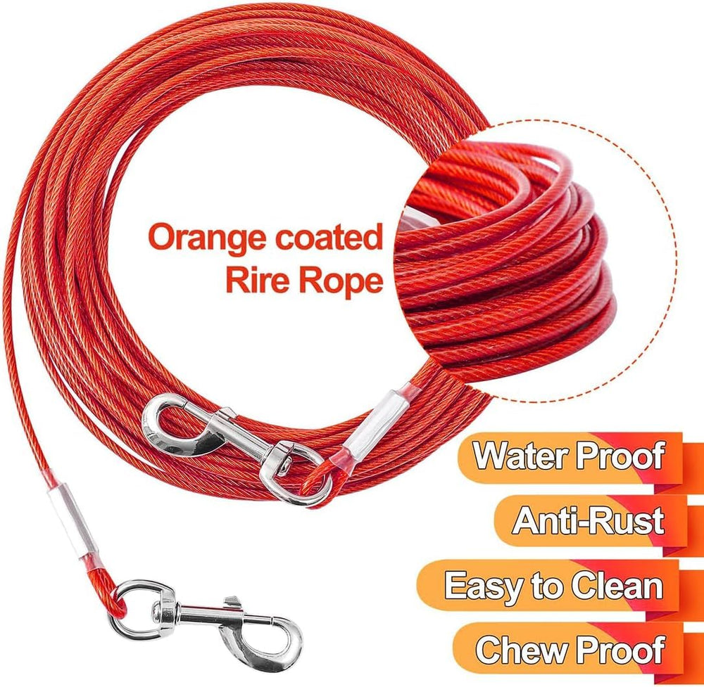 Mi Metty tie out cable wrapped around a post for hands-free supervision