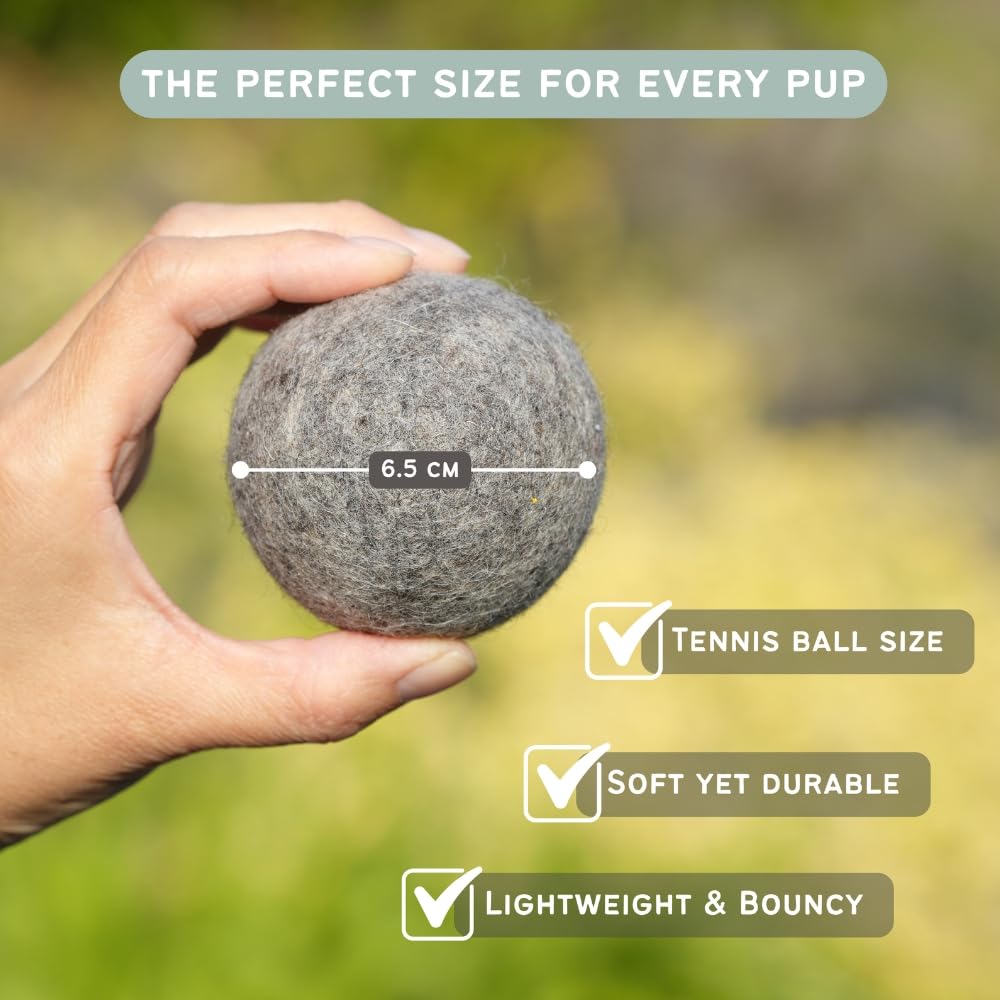 Miao and Woof dog ball on grass for outdoor fetch and exercise.