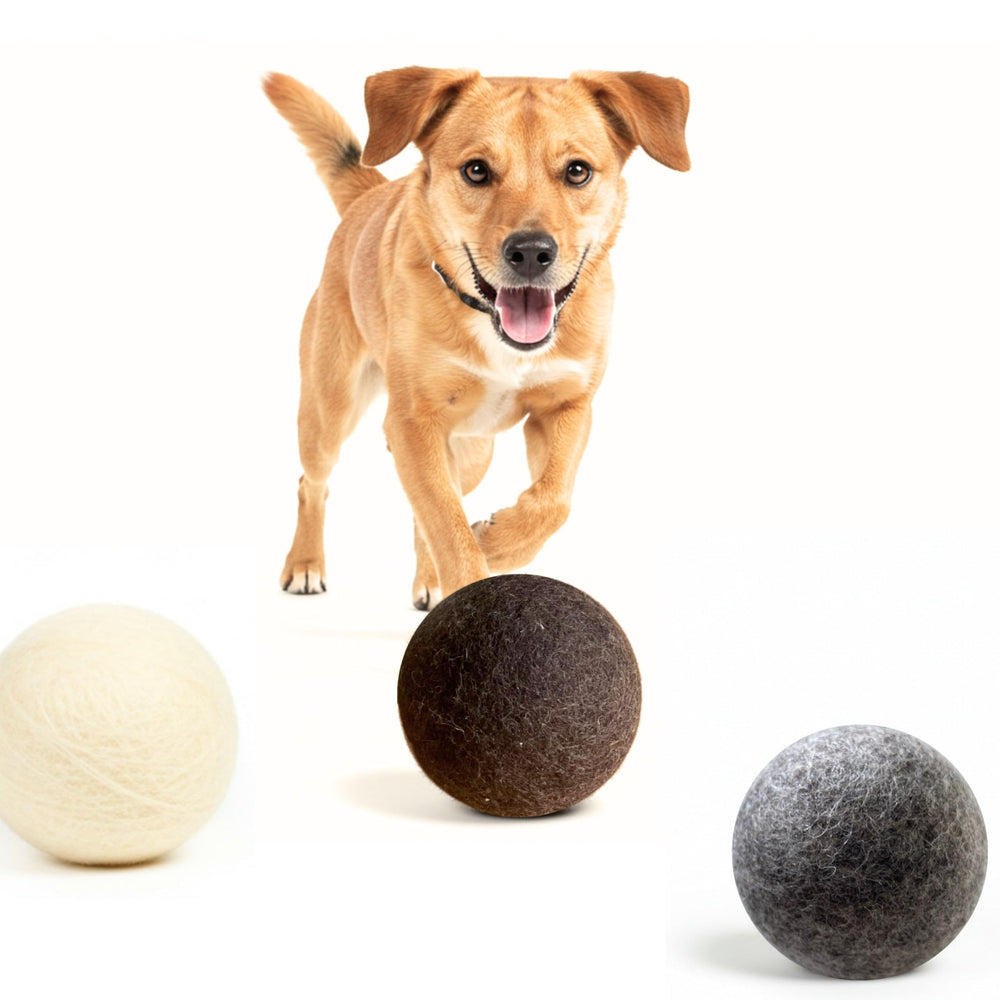 Miao and Woof indoor-outdoor ball showing safe, chew-resistance design for all dogs.