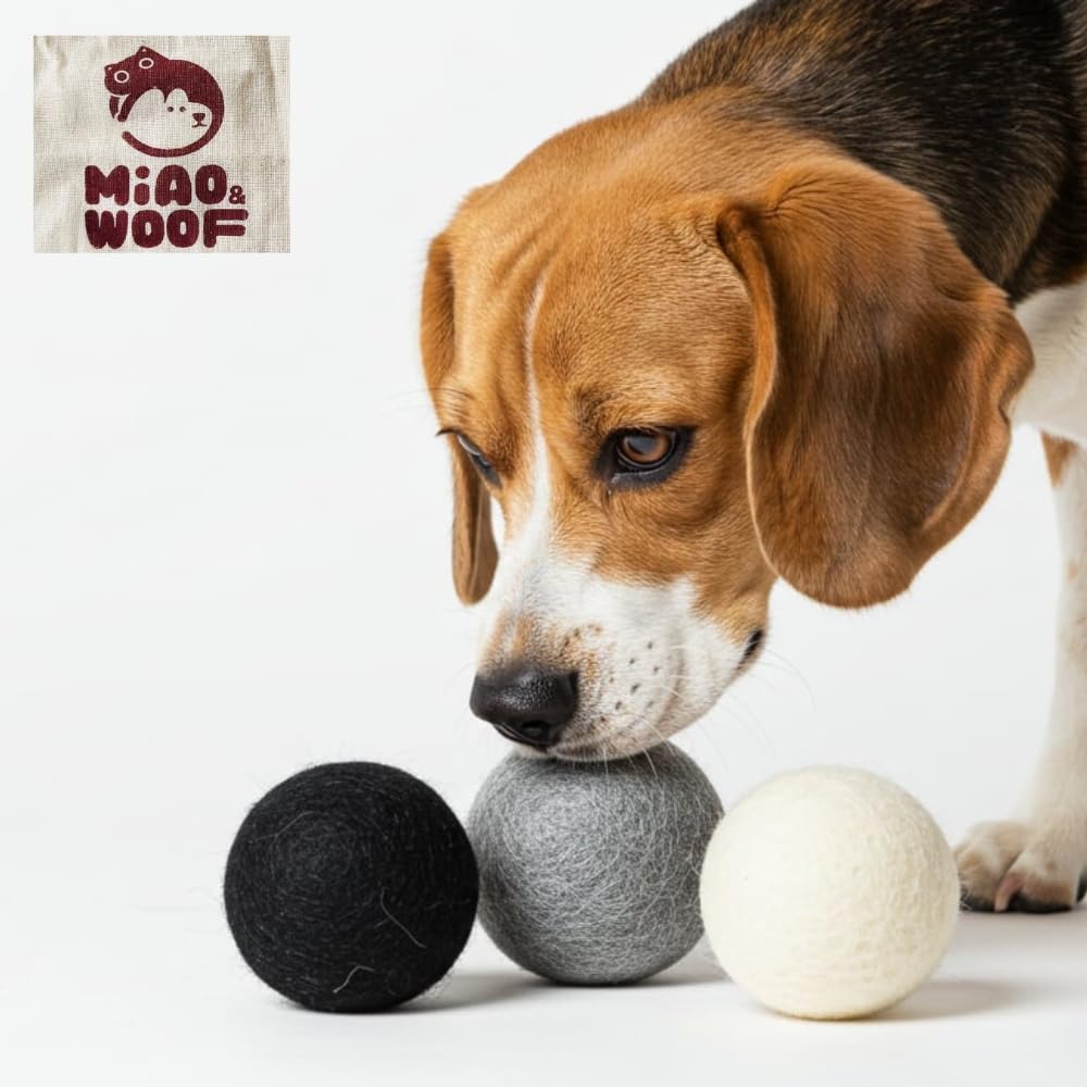 Miao and Woof three-piece wool ball set on floor ready for playtime.
