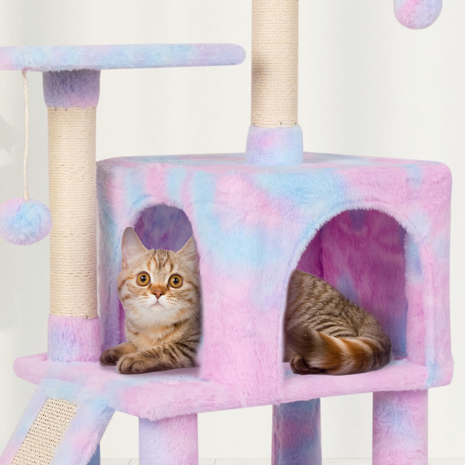 MIAO PAW Easy-to-follow instructions ensure quick assembly.