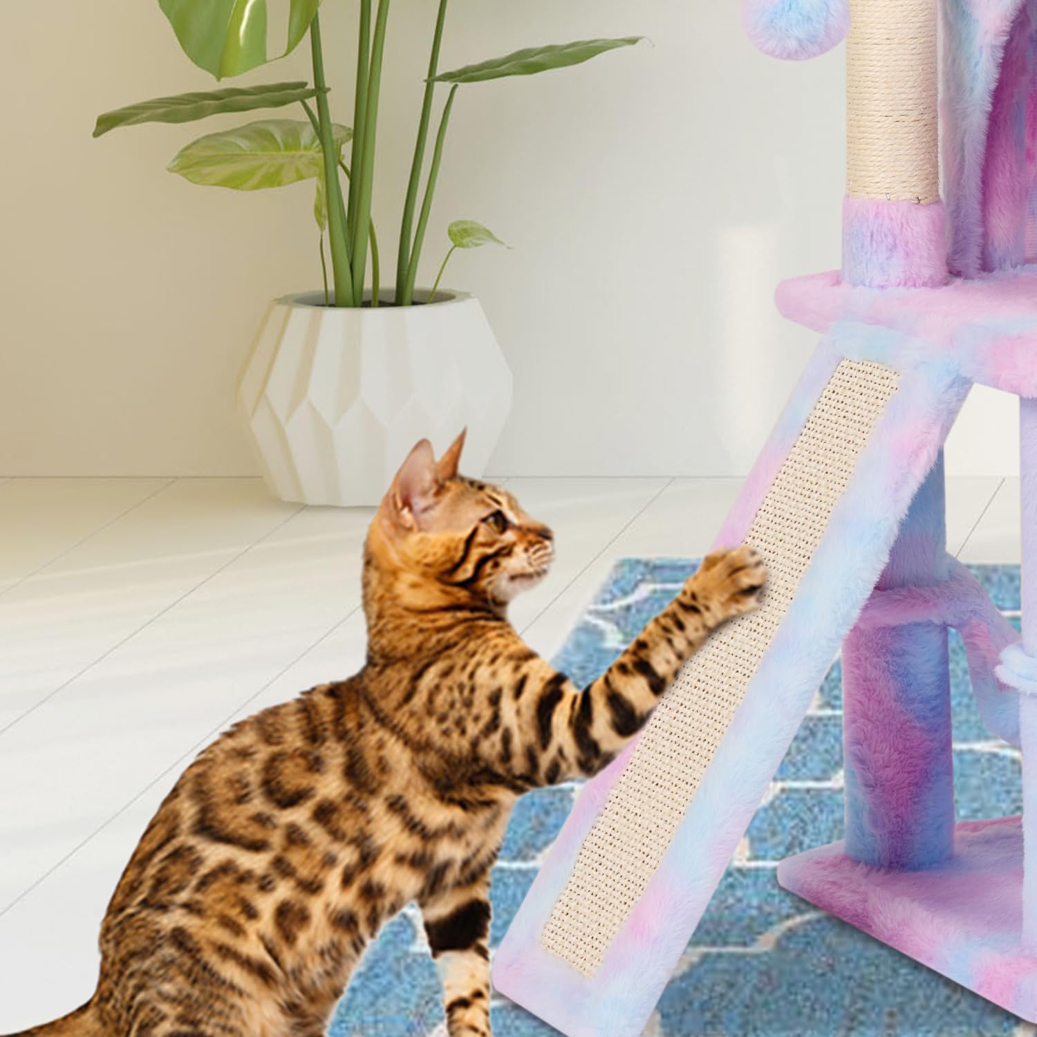 MIAO PAW Cat Tree overall dimension showcases a roomy indoor space.