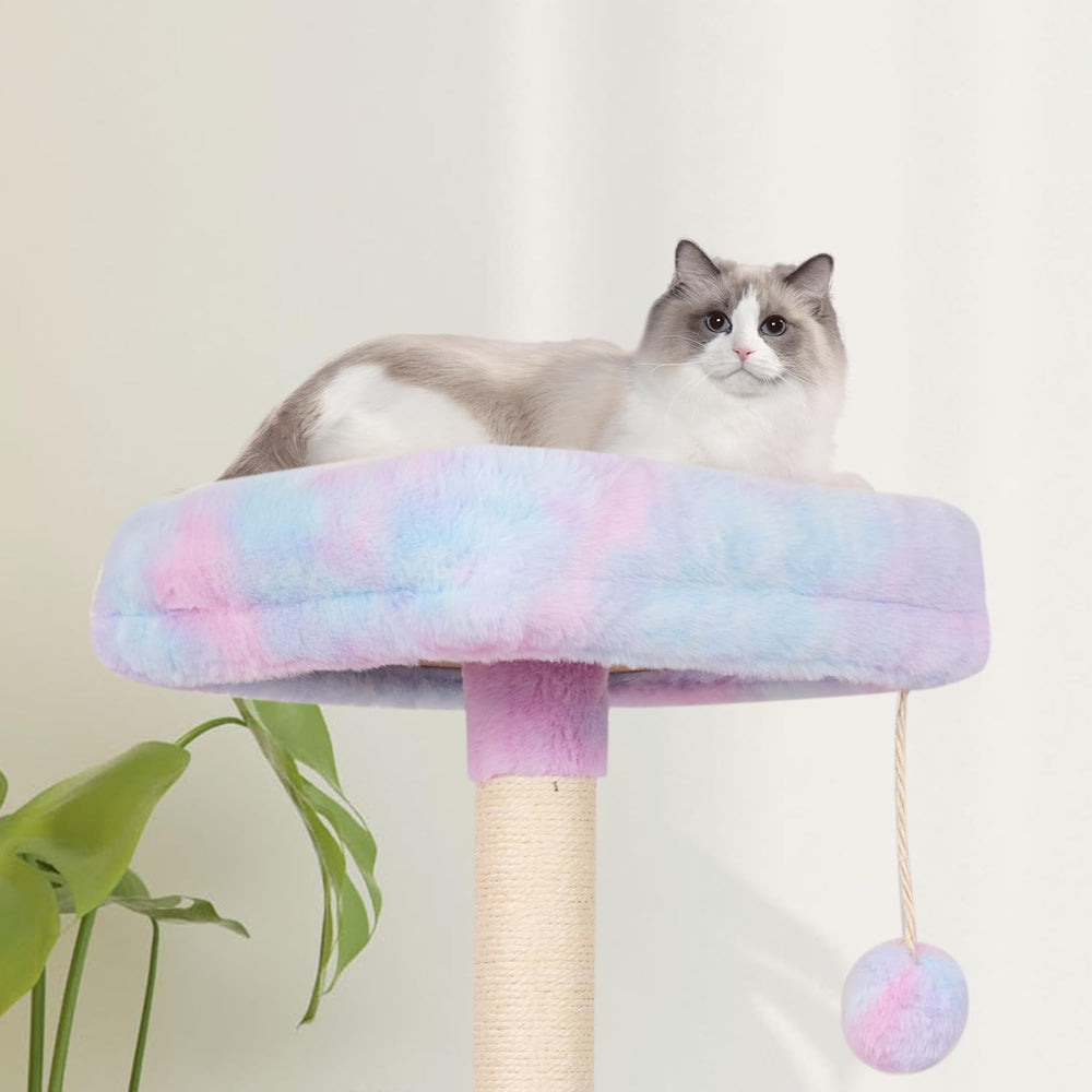 MIAO PAW Soft faux fur and board provide warmth and safety.