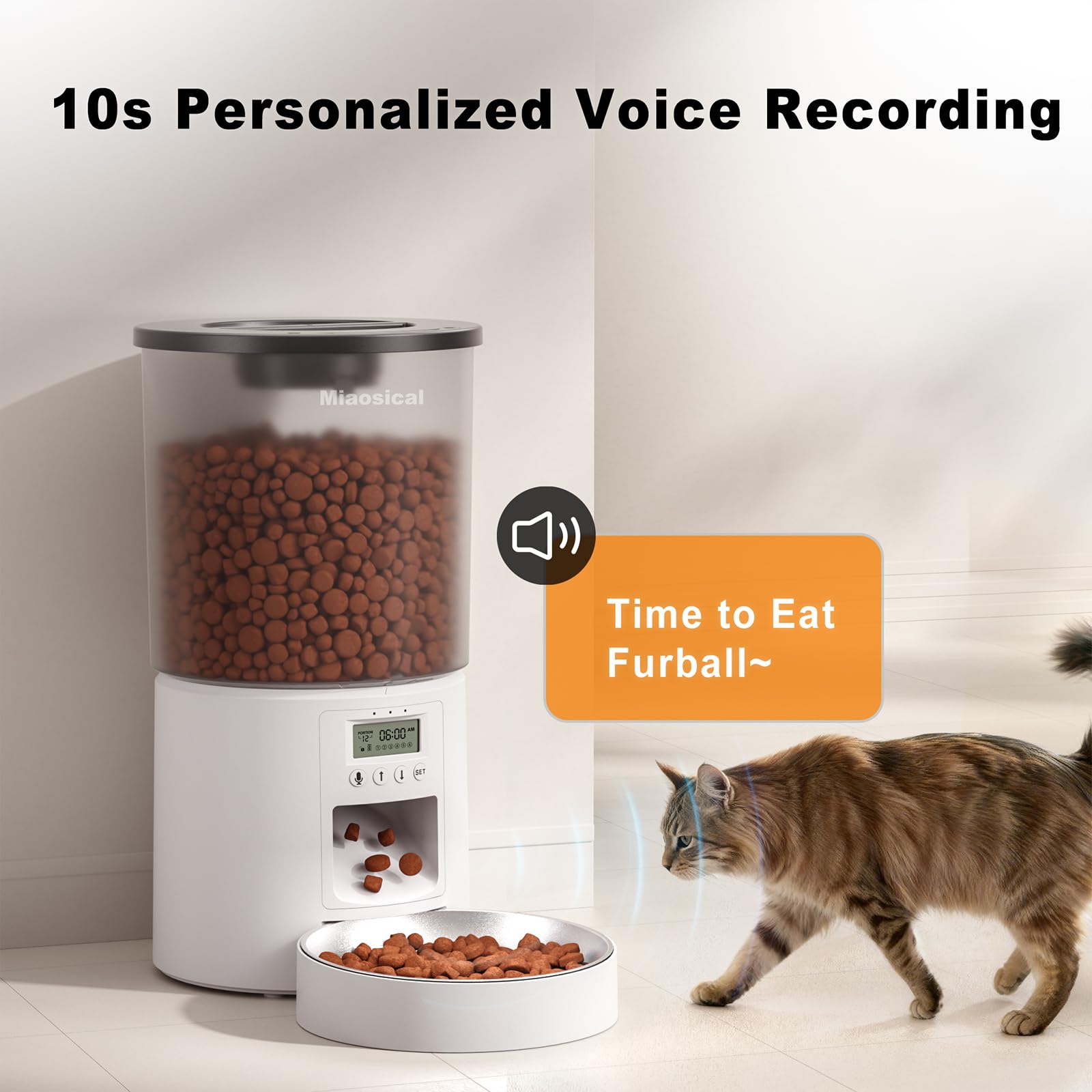 Miaosical automated cat feeder supports up to six meals per day.