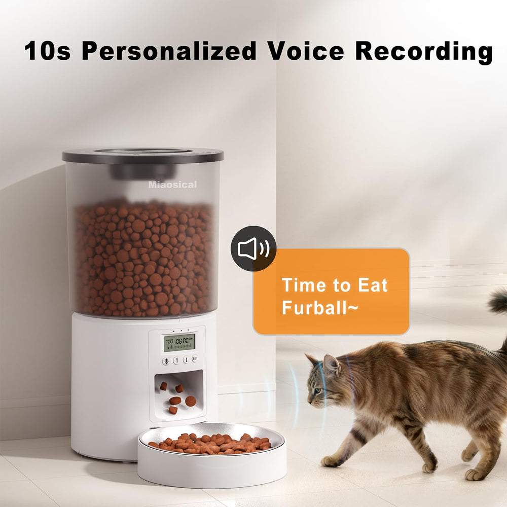 Miaosical automated cat feeder supports up to six meals per day.