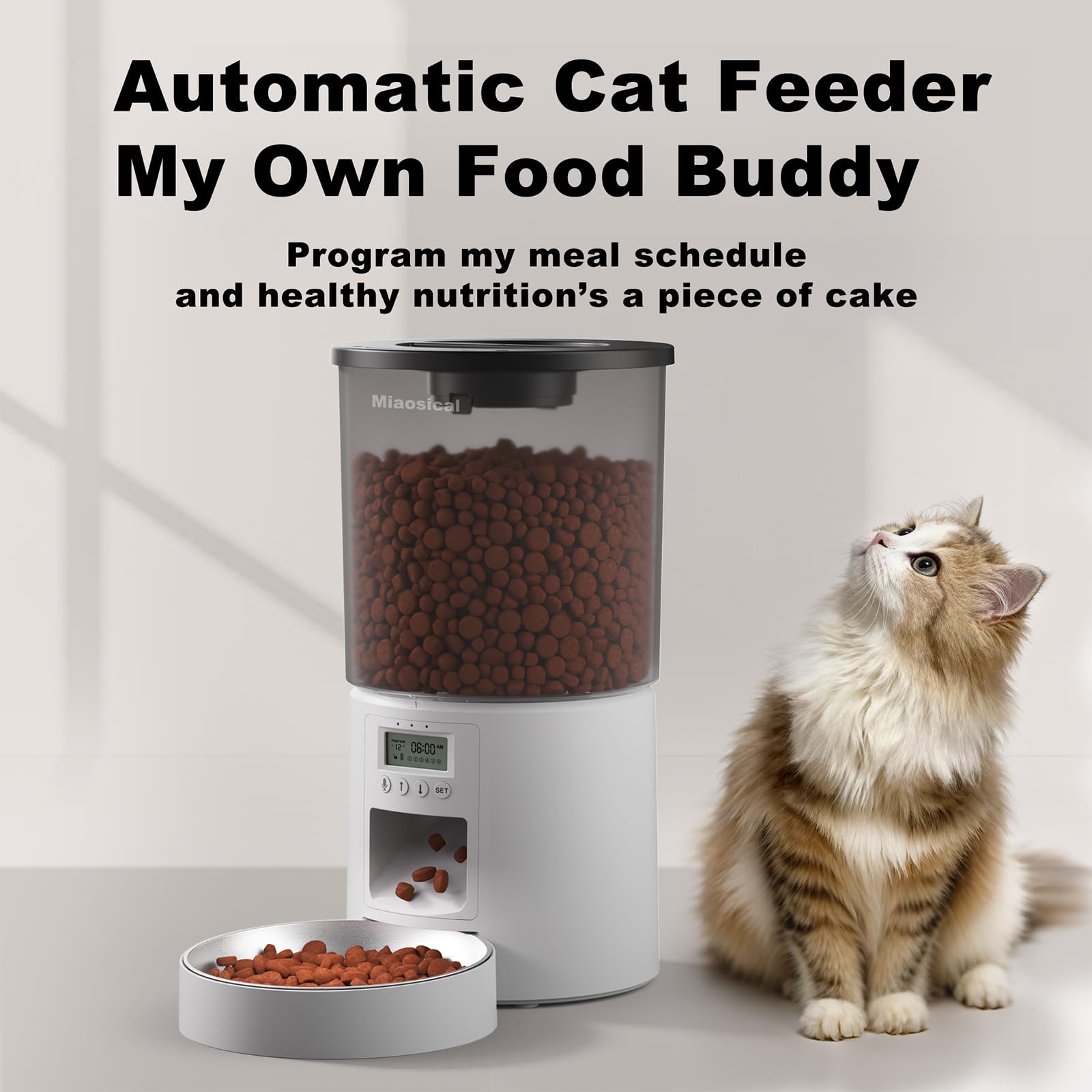 Miaosical automated cat feeder voice-message feature supports familiar mealtimes.