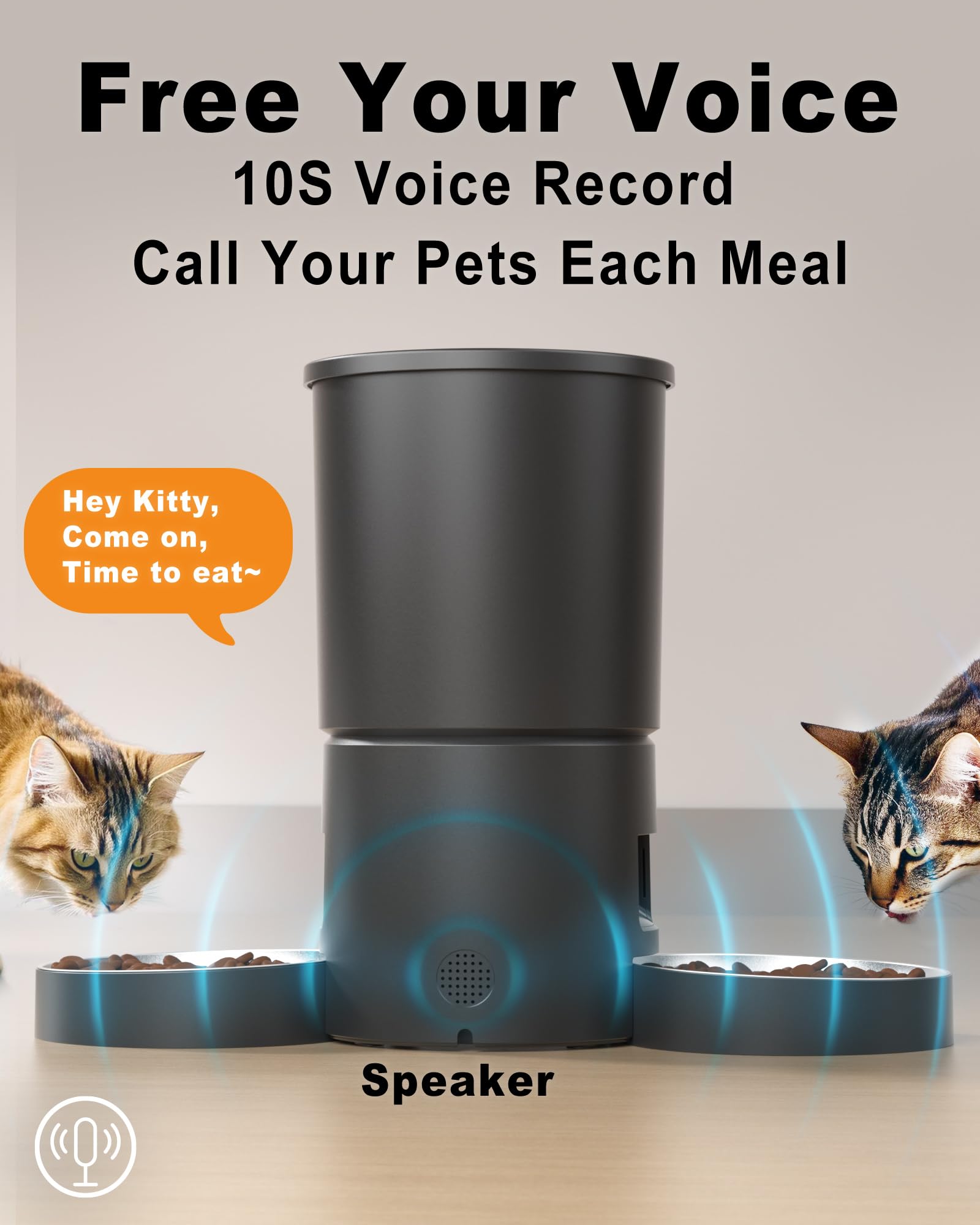 Miaosical quiet feeding at night preserves sleep for pets and owners.