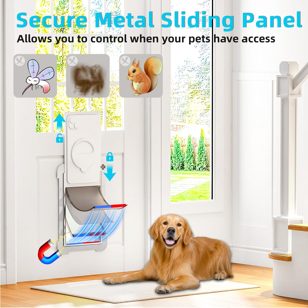 MIAOTONG sliding lock panel offers controlled access for pets and households.