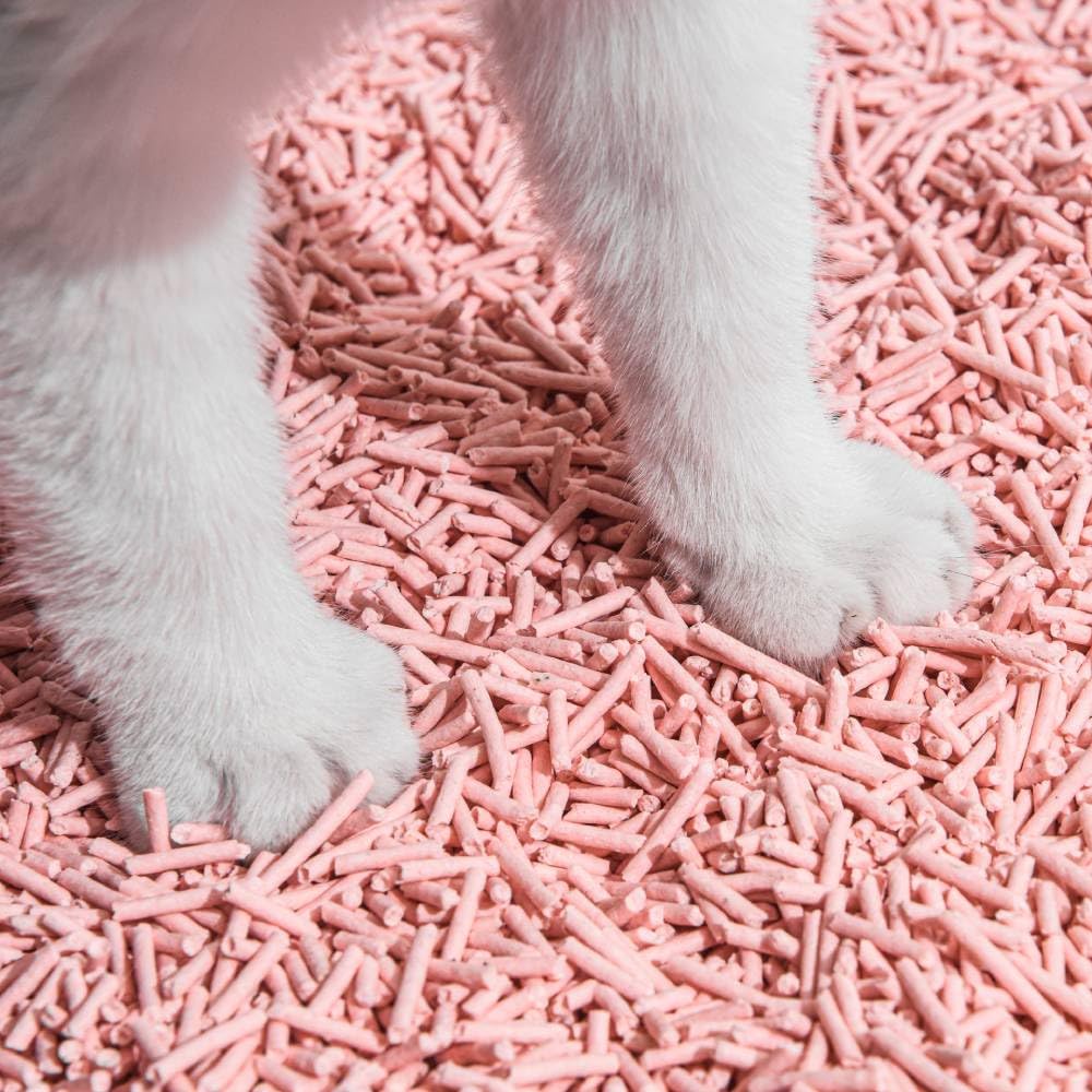 Michu 3-pack offers convenient, cost-effective sourcing for multiple litter boxes.