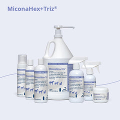 Cat coat after MiconaHex+Triz Mousse application for gentle care