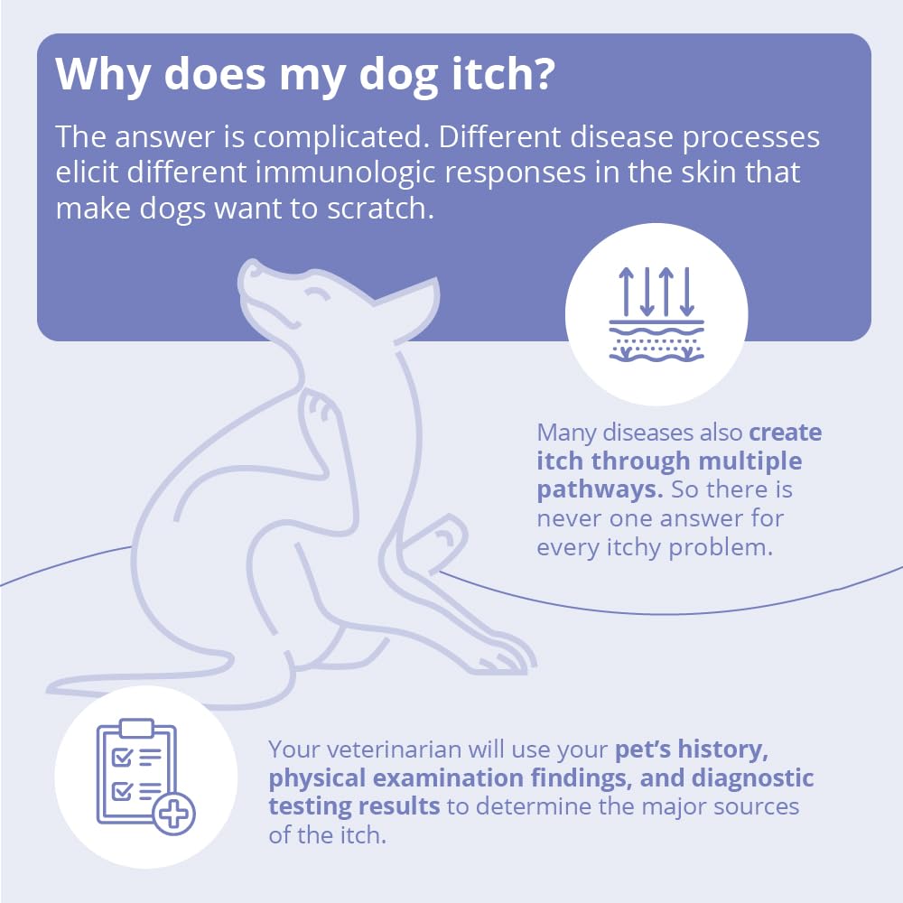 MiconaHex+Triz bottle with measuring cap for easy home grooming.