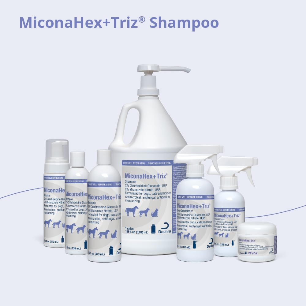 MiconaHex+Triz shampoo cat care image highlighting skin comfort.