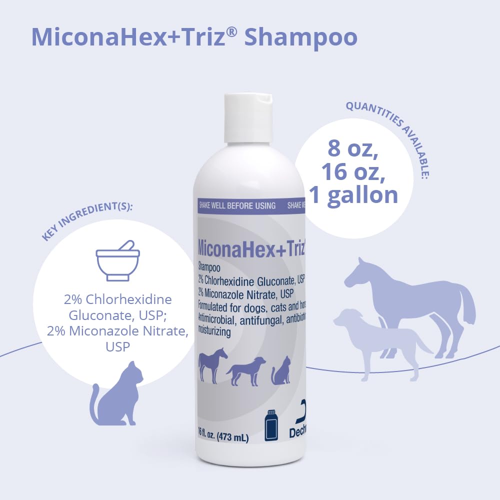 MiconaHex+Triz shampoo for cats lather demonstrates gentle cleansing for sensitive skin