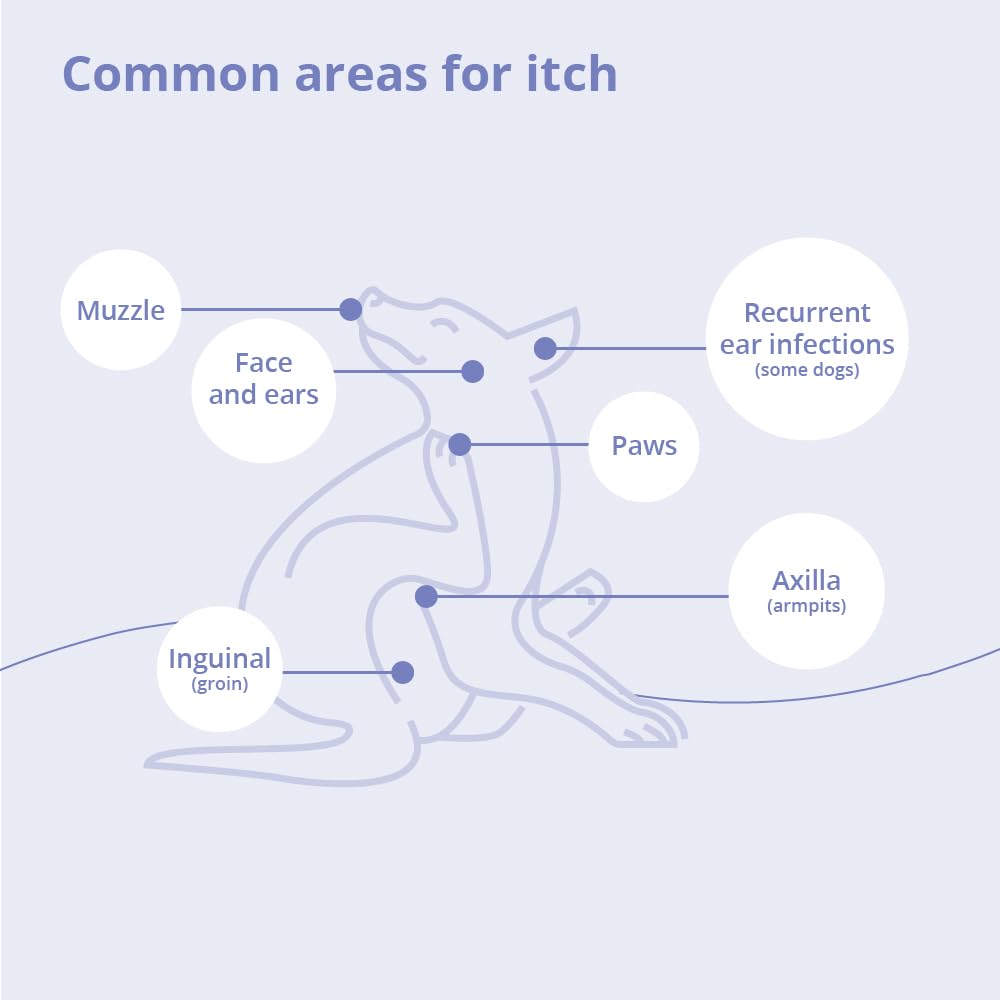 MiconaHex+Triz coat sample close-up indicates conditioning and skin support