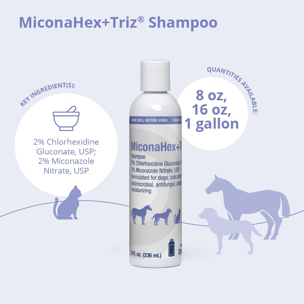 MiconaHex+Triz shampoo foam demonstrates gentle lather for cleansing.