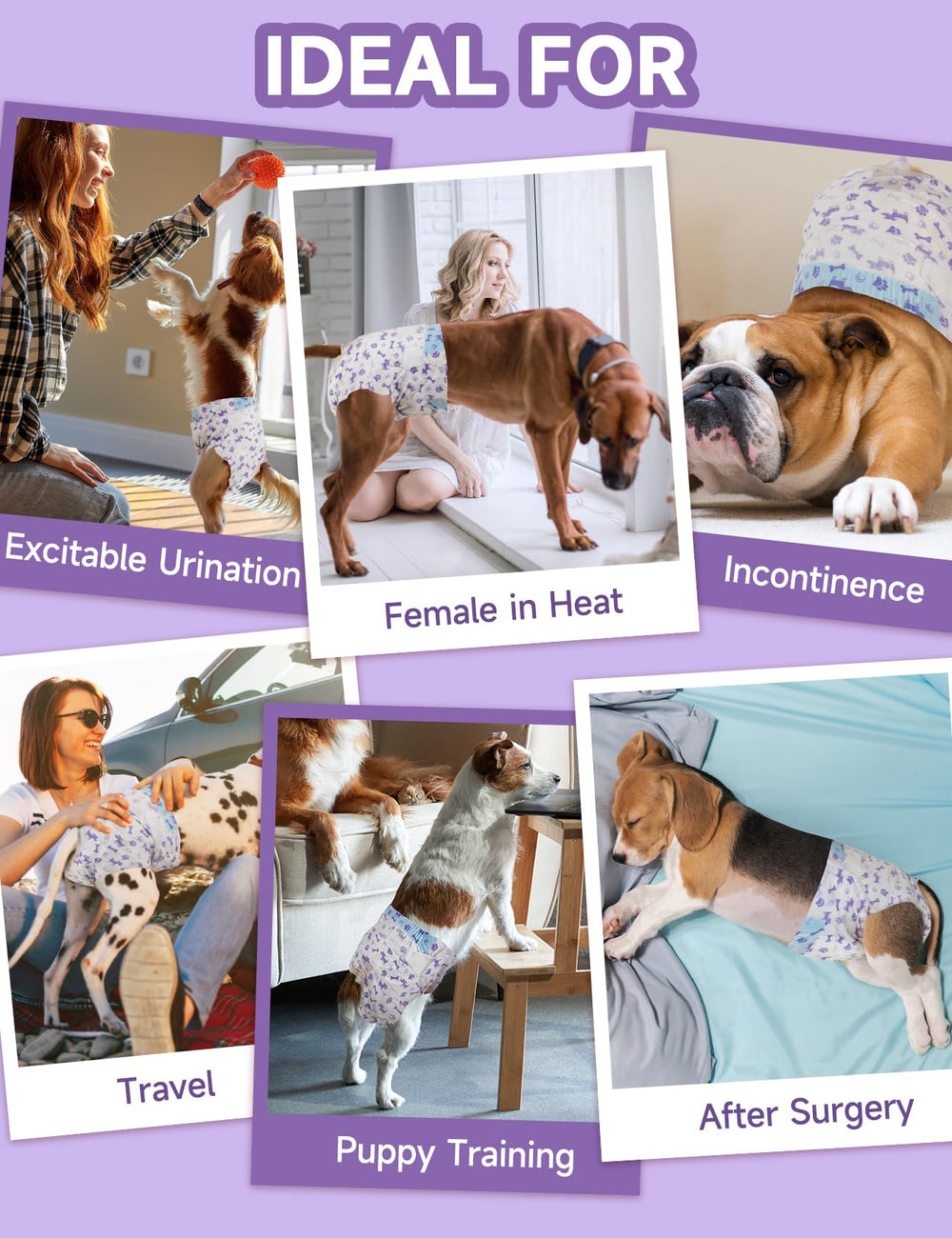 MICOOYO heat-cycle use depicts versatile protection during seasonal changes.