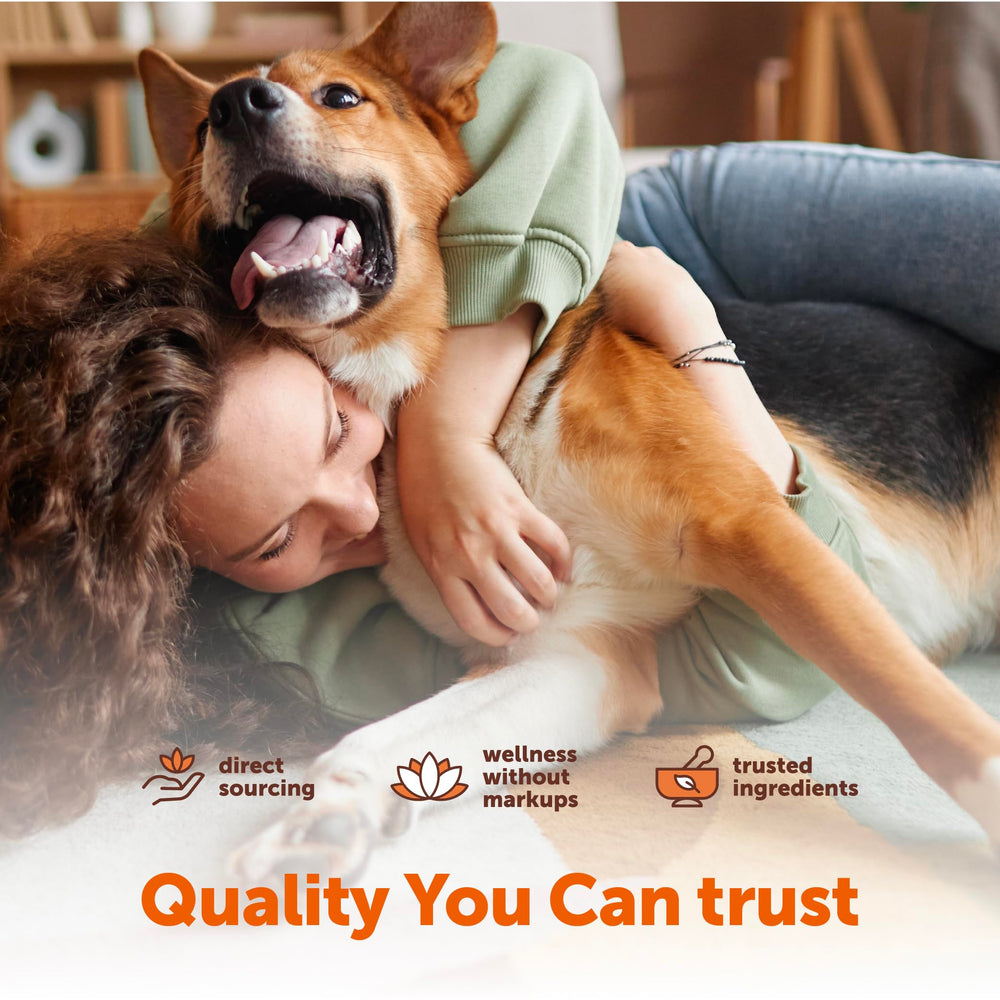 Micro Ingredients 25-in-1 dog multivitamin chicken flavor chews.