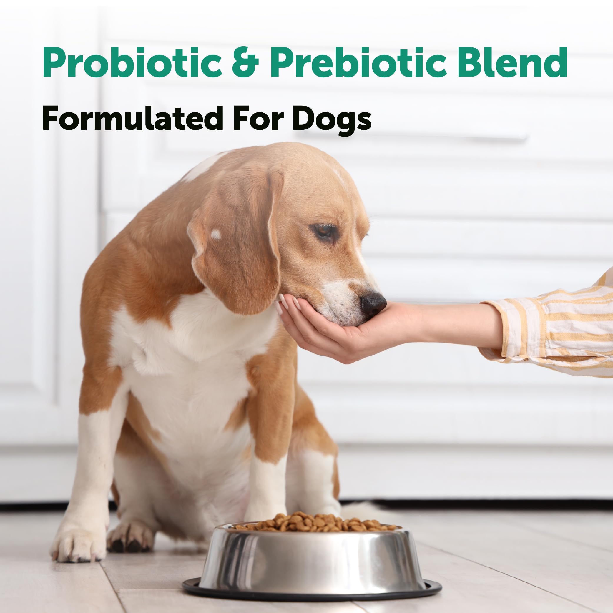 Micro Ingredients Probiotics for Dogs enzymes-blend close-up illustrates digestion-supporting enzymes