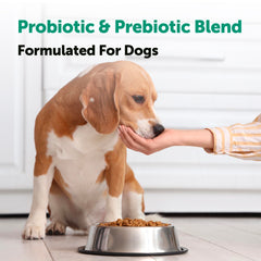 Micro Ingredients Probiotics for Dogs enzymes-blend close-up illustrates digestion-supporting enzymes