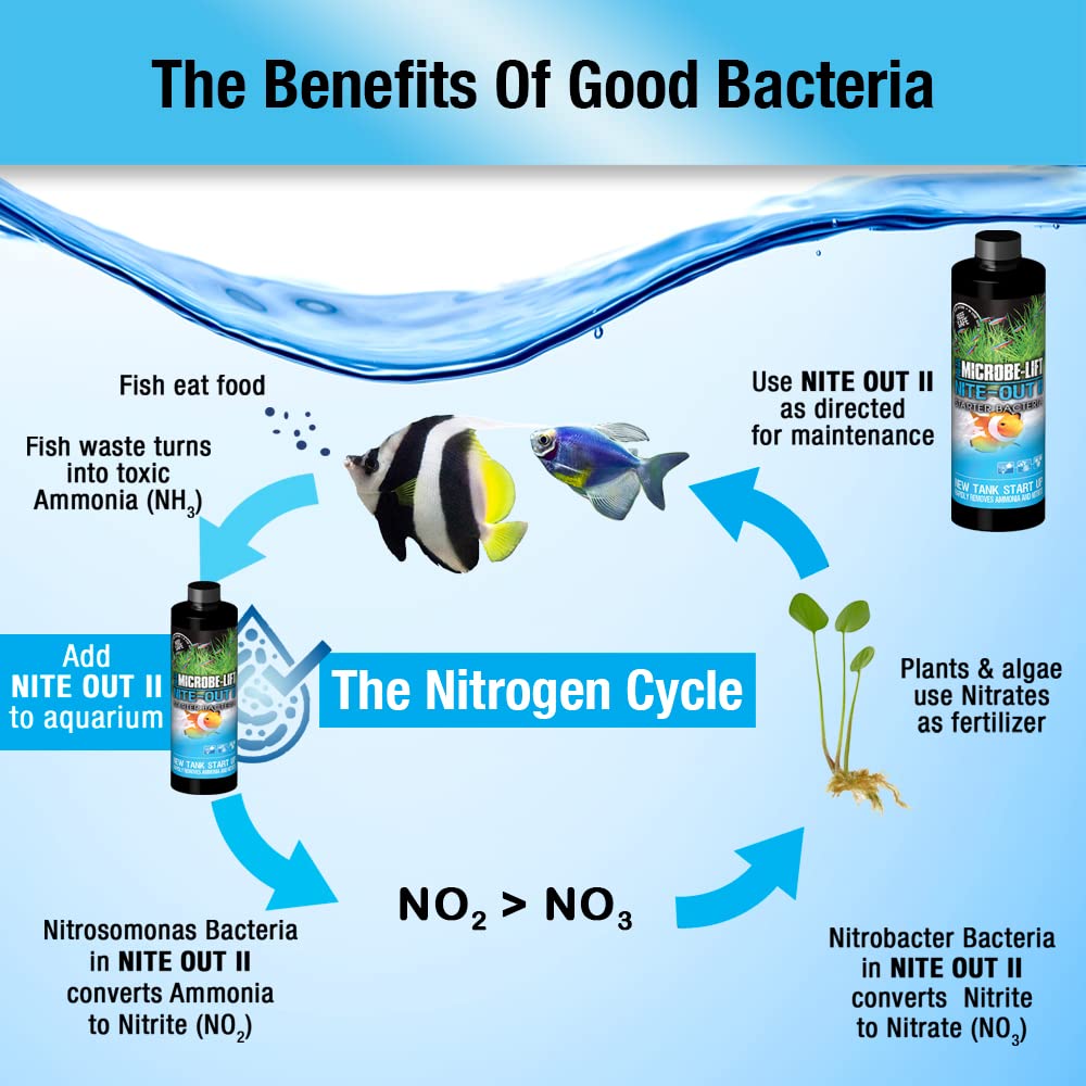 Nite-Out II supports smooth fish introduction in a busy community tank.