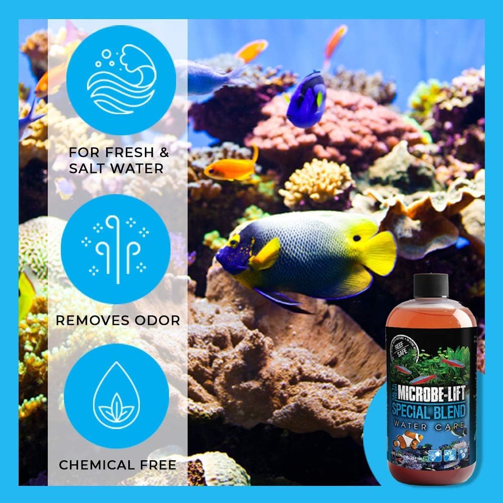 MICROBE-LIFT Special Blend natural waste breakdown in a mixed community tank.