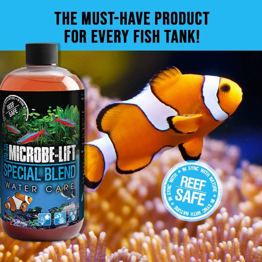 MICROBE-LIFT Special Blend tank water clarity showing improved water condition.