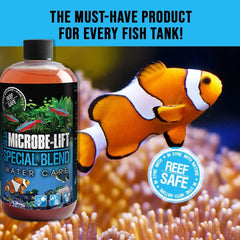 MICROBE-LIFT Special Blend tank water clarity showing improved water condition.
