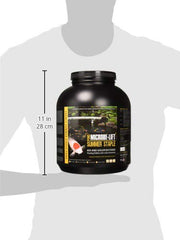 MICROBE-LIFT Summer Staple immune-vitamin-c supports fish health