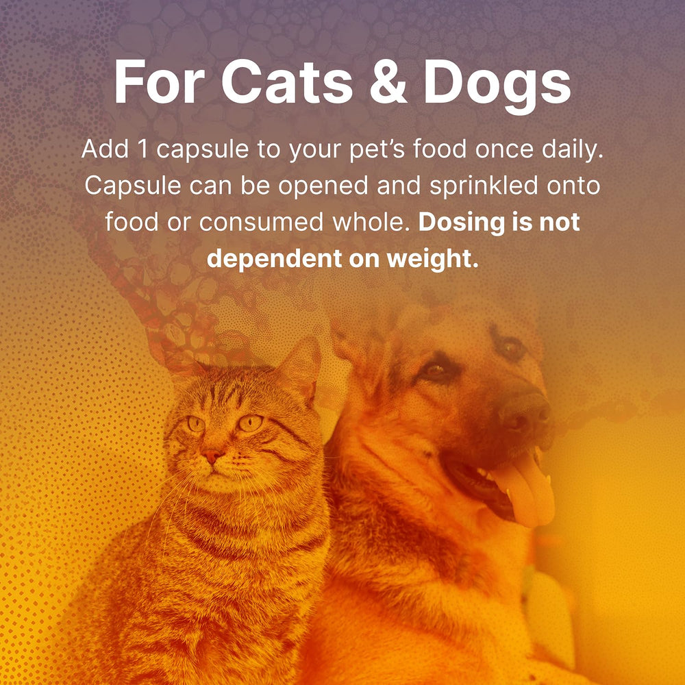 Fidospore includes Pediococcus acidilactici to support gut balance in pets.