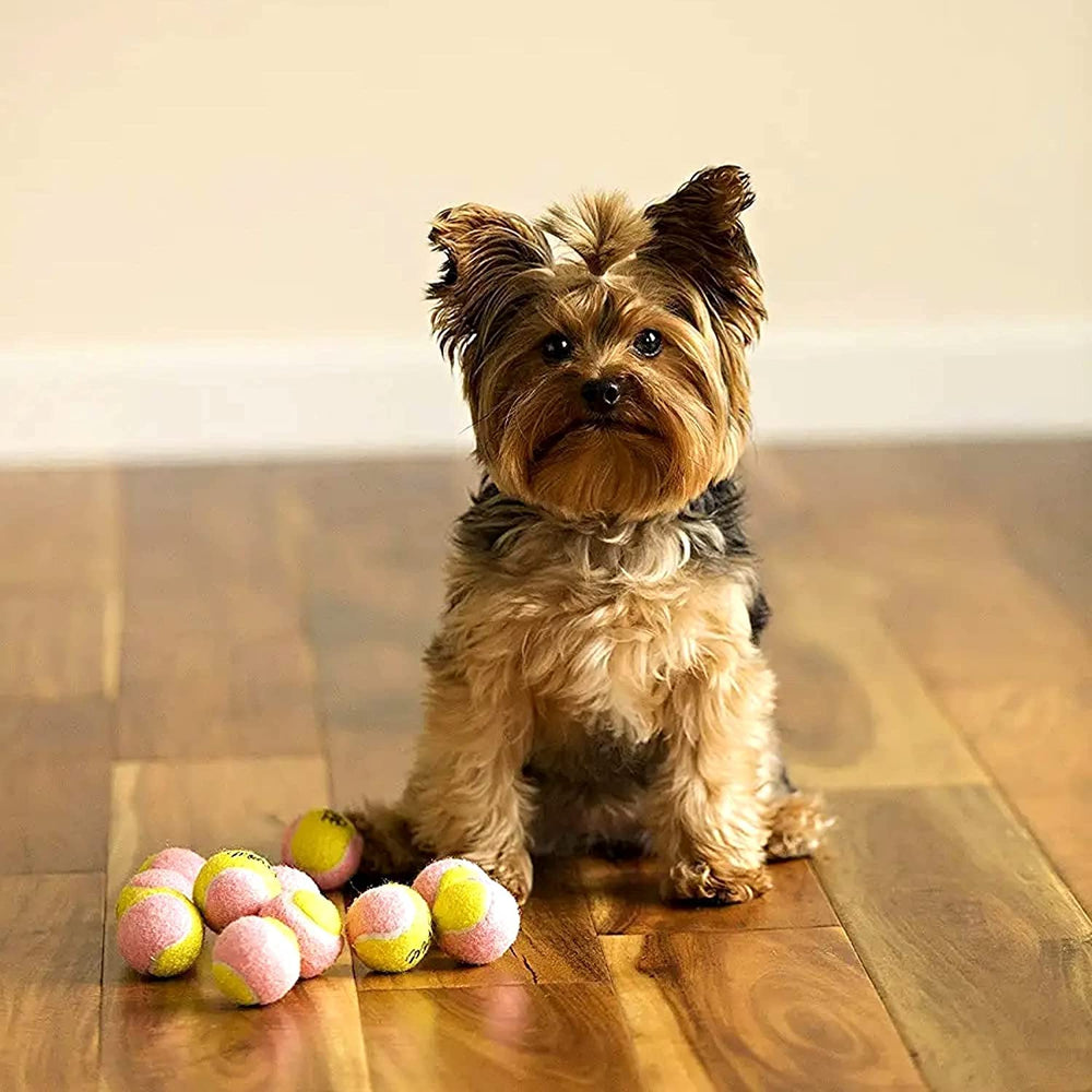 Midlee small breed toy tennis ball in yellow pink for indoor play