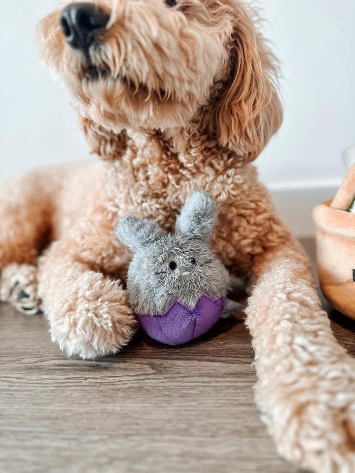 Midlee Easter Bunny Egg Dog Toy Set 3-pack in basket display.