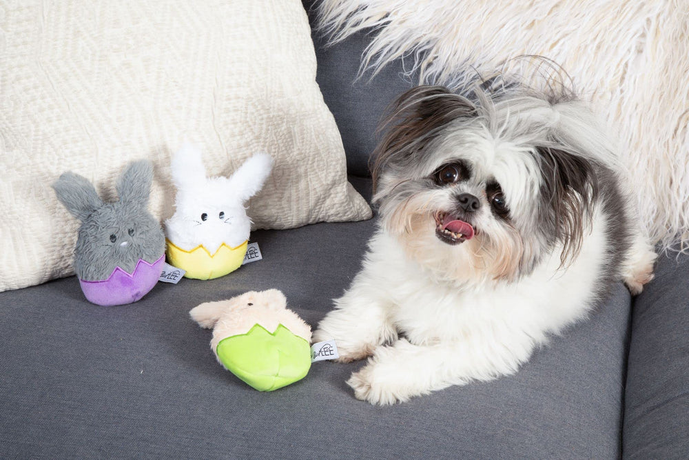 Midlee Easter Bunny Egg Dog Toy Set toys on display for Easter fun.