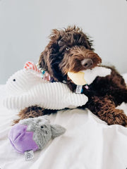 Midlee Easter Bunny Egg Dog Toy Set back view, soft fabric for cozy snuggles after play.