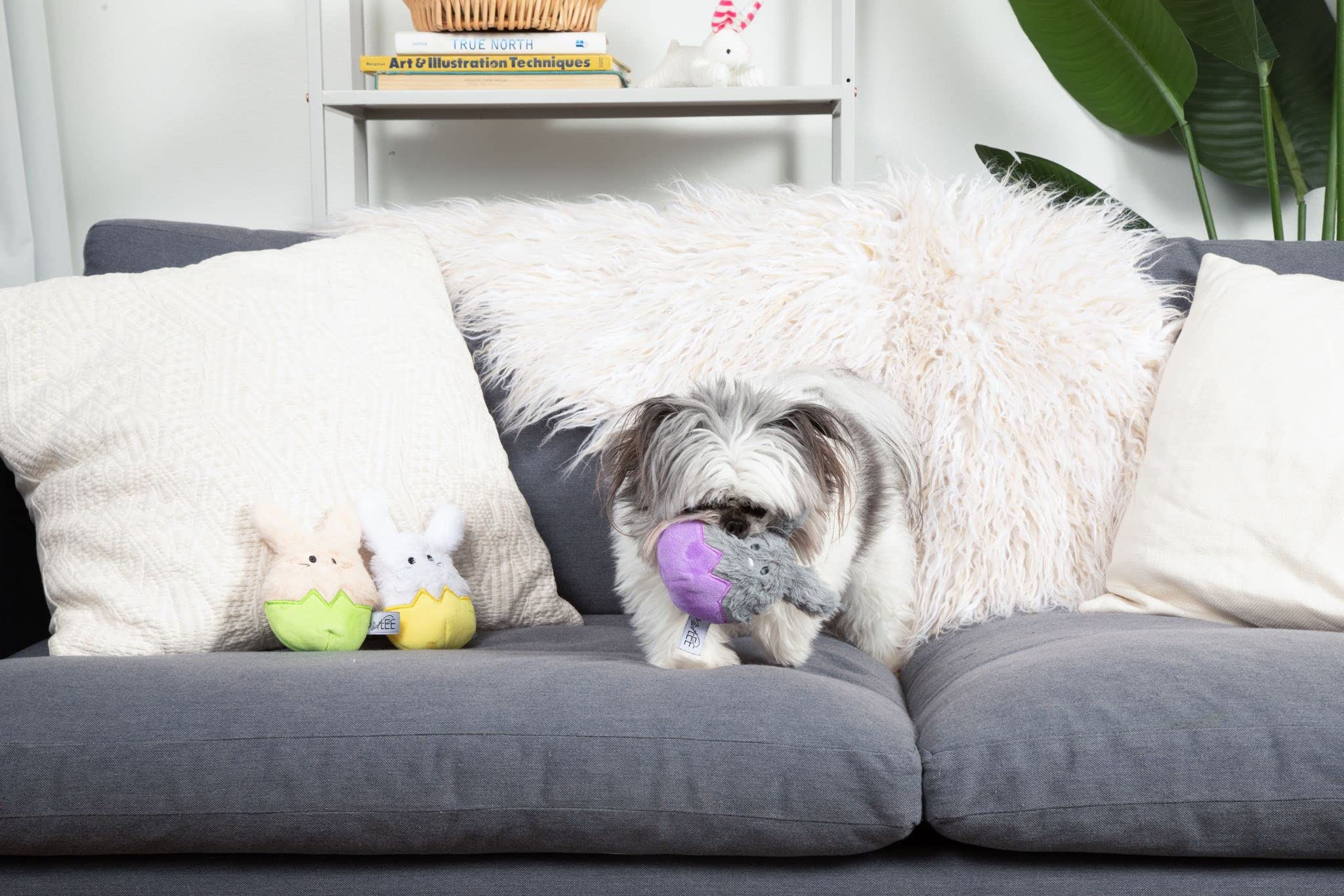 Midlee Easter Bunny Egg Dog Toy Set side view, ideal for supervised tossing and chewing.