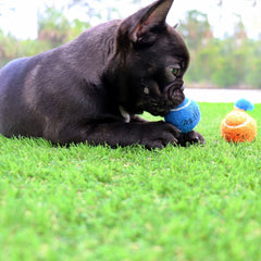 Midlee Mini launcher friendly balls fit automatic launchers for convenient fetch